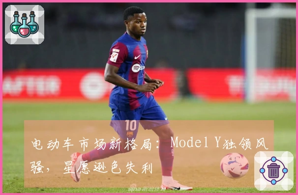 电动车市场新格局：Model Y独领风骚，星愿逊色失利