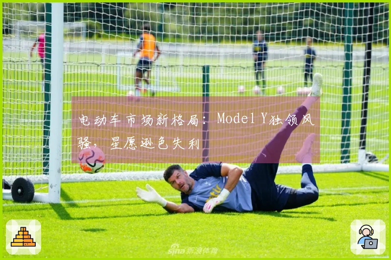 电动车市场新格局：Model Y独领风骚，星愿逊色失利