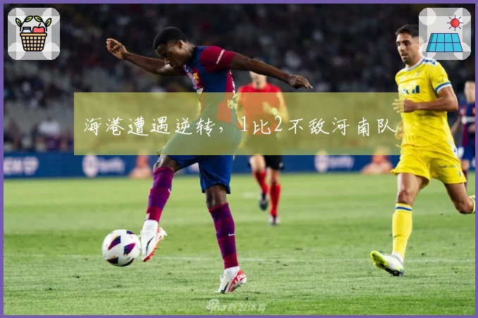海港遭遇逆转，1比2不敌河南队